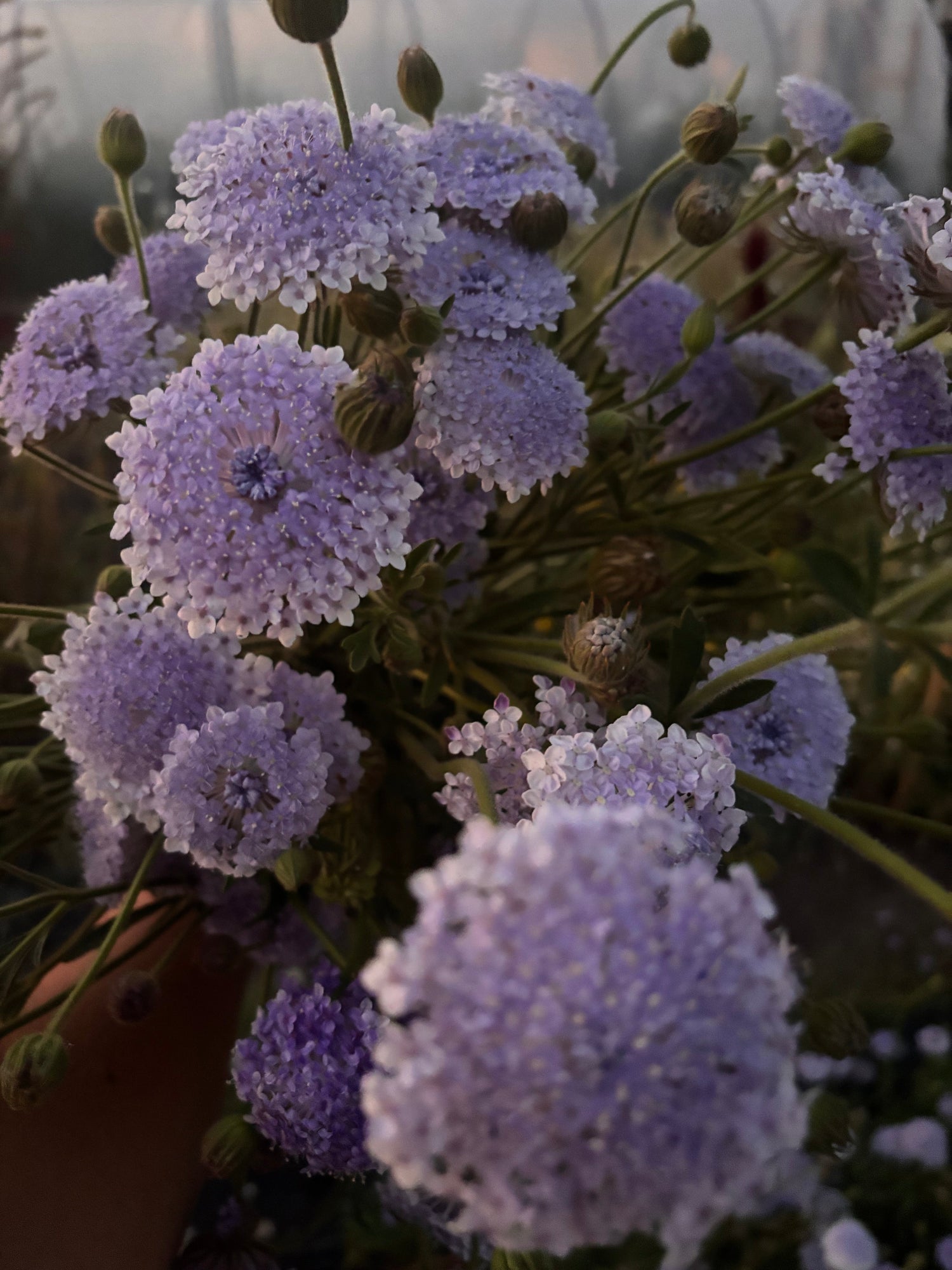 Farm Events