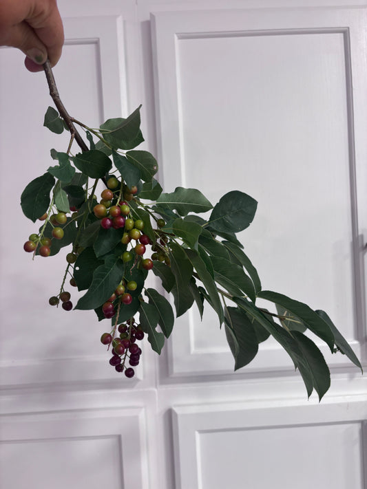 Choke cherry branches w/ red berries