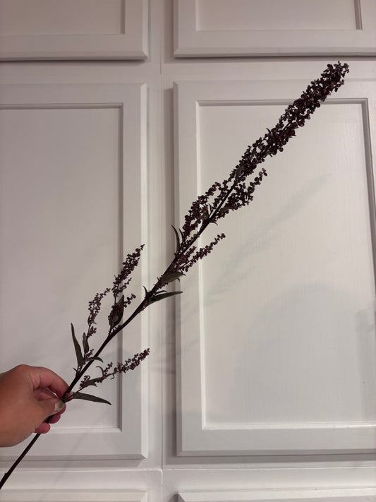 Orach - red