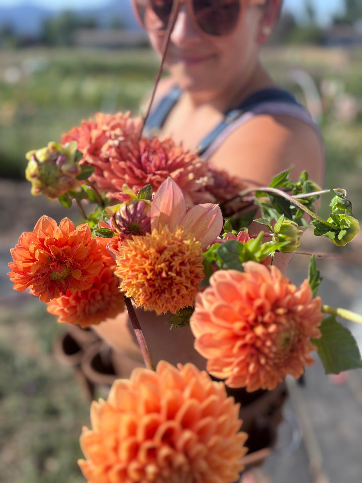 Dahlias - orangeish + peach
