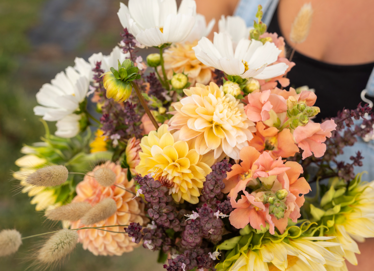 Bouquet Subscription - Specialty Dahlias (4 Weeks)